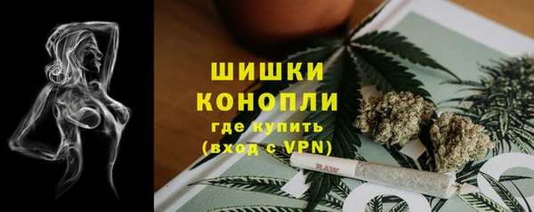 МДПВ Бугульма