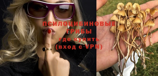 амфетамин Богородск