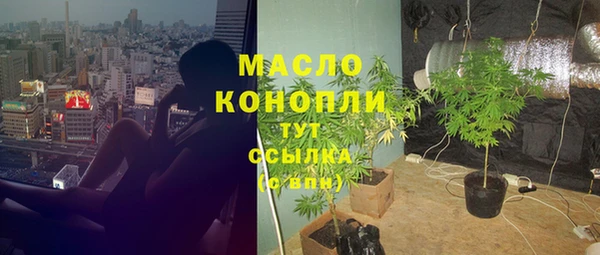 таблы Бородино