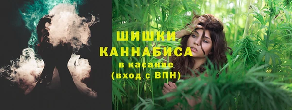 прущая мука Богданович