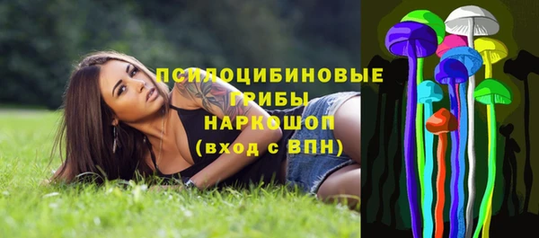 прущая мука Богданович