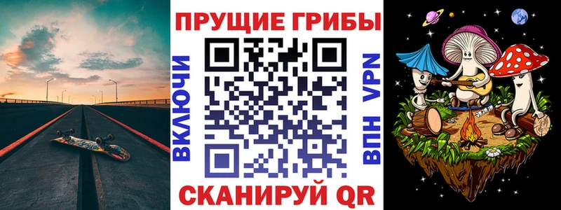 наркошоп  Тихорецк  Галлюциногенные грибы Psilocybe 